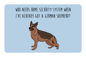 Security Shepard