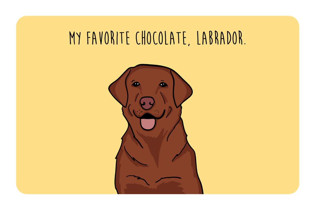 My Favorite Chocolate, Labrador