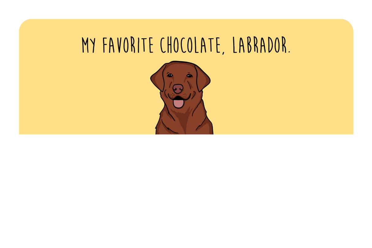 My Favorite Chocolate, Labrador