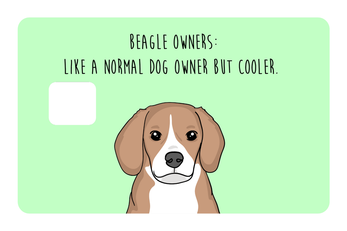 Beagle Owner