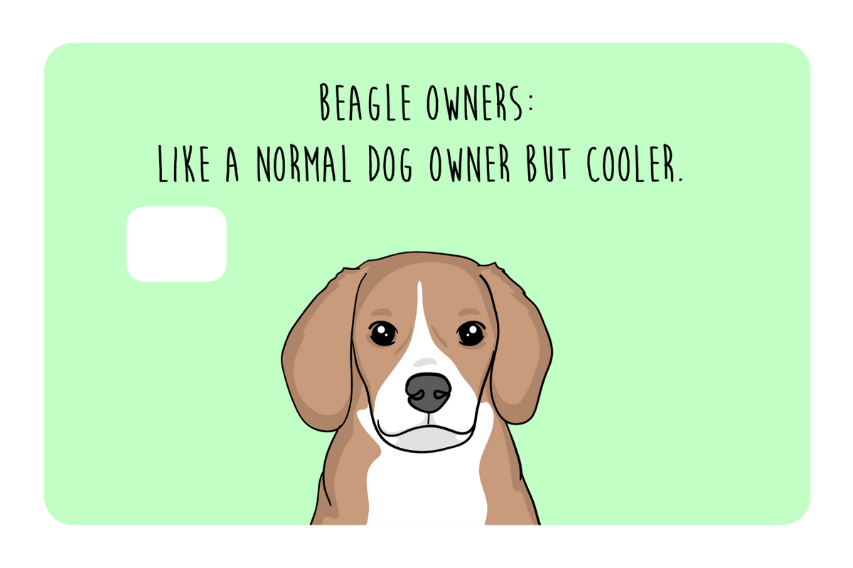 Beagle Owner