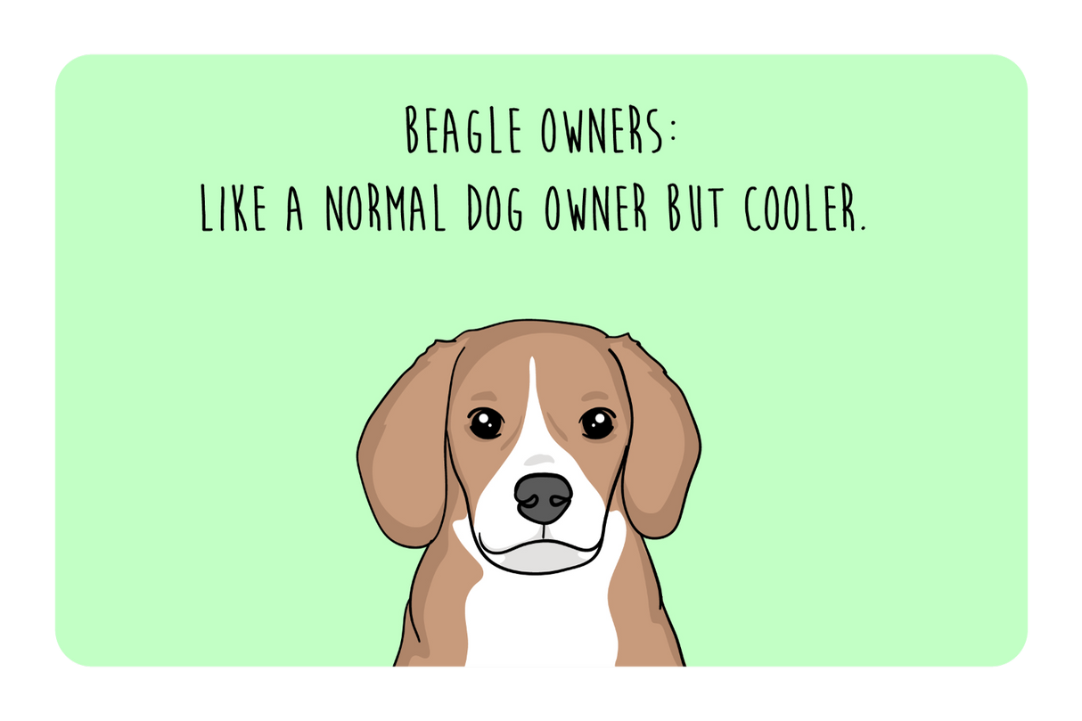 Beagle Owner