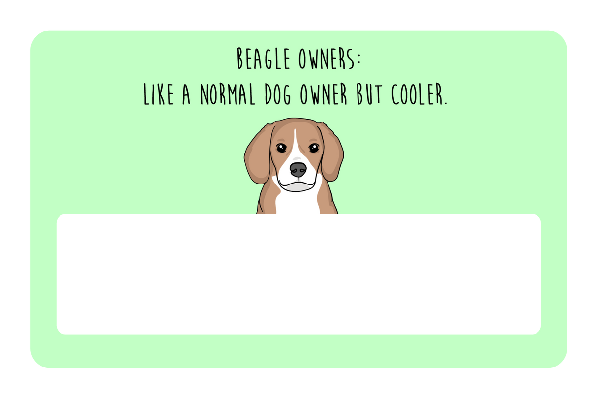 Beagle Owner