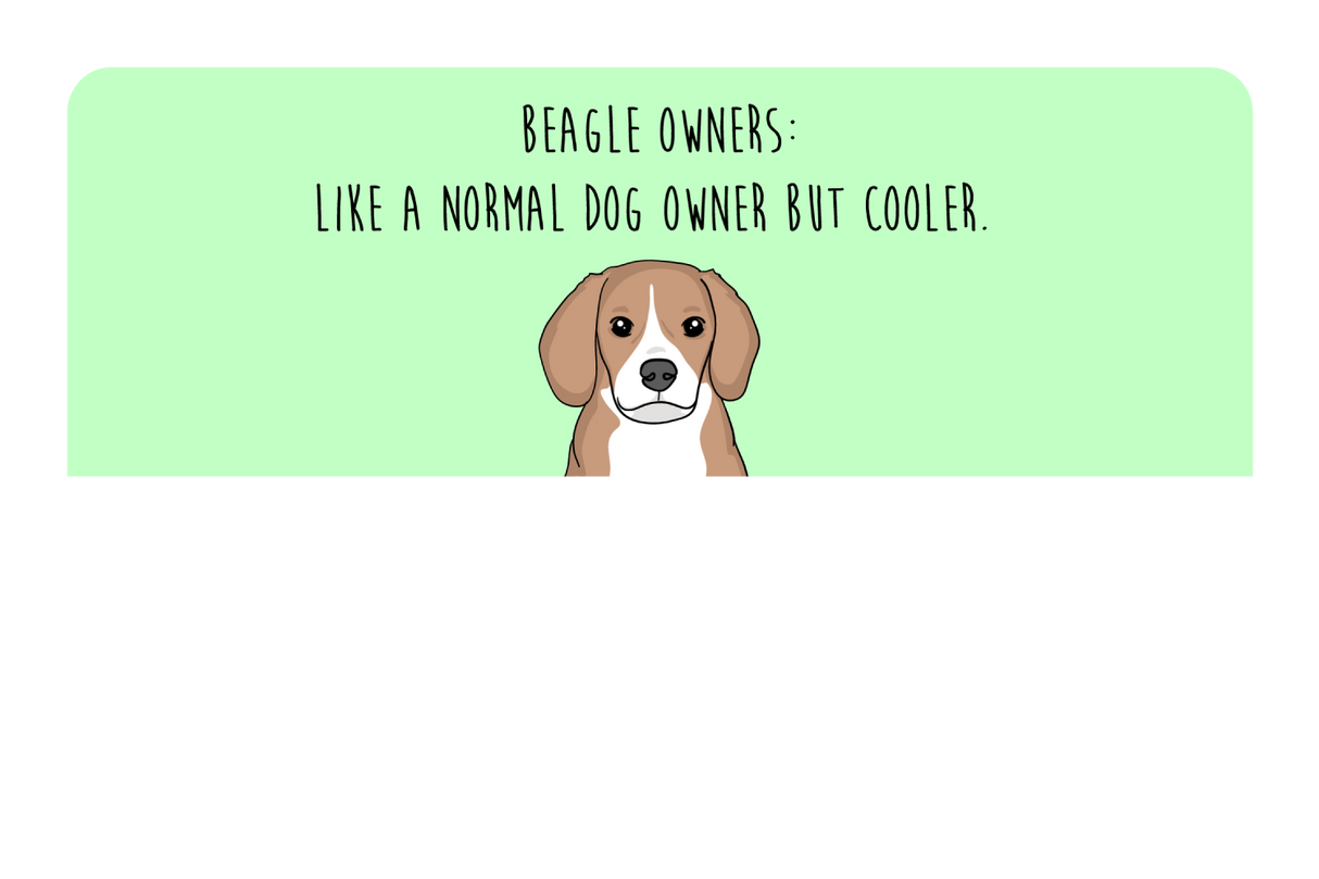 Beagle Owner