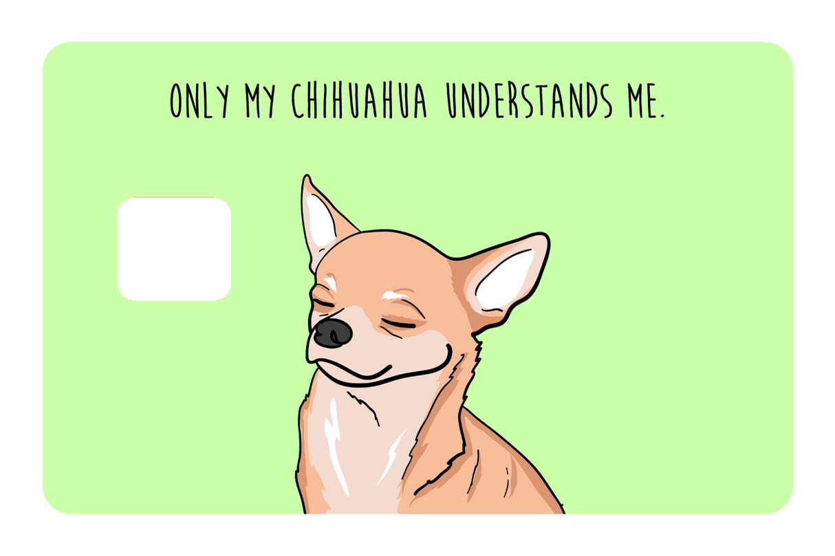 Only my Chihuahua understands me