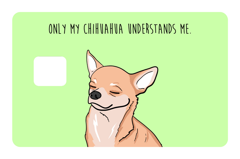 Only my Chihuahua understands me