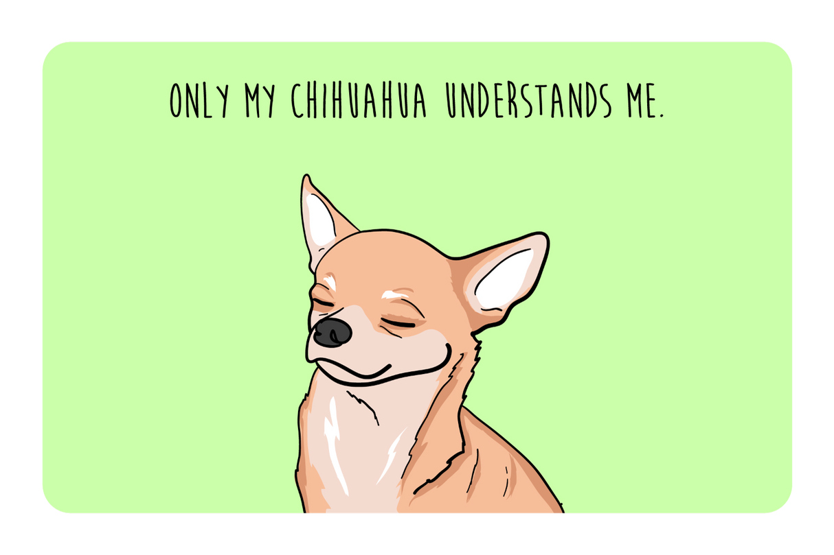 Only my Chihuahua understands me