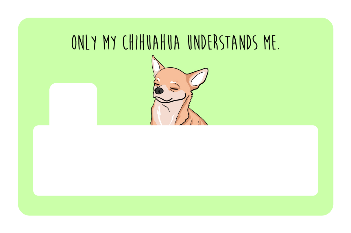 Only my Chihuahua understands me