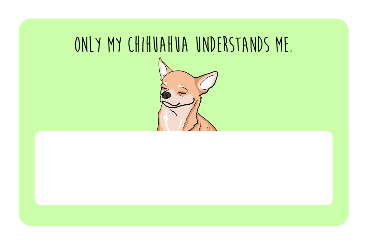 Only my Chihuahua understands me