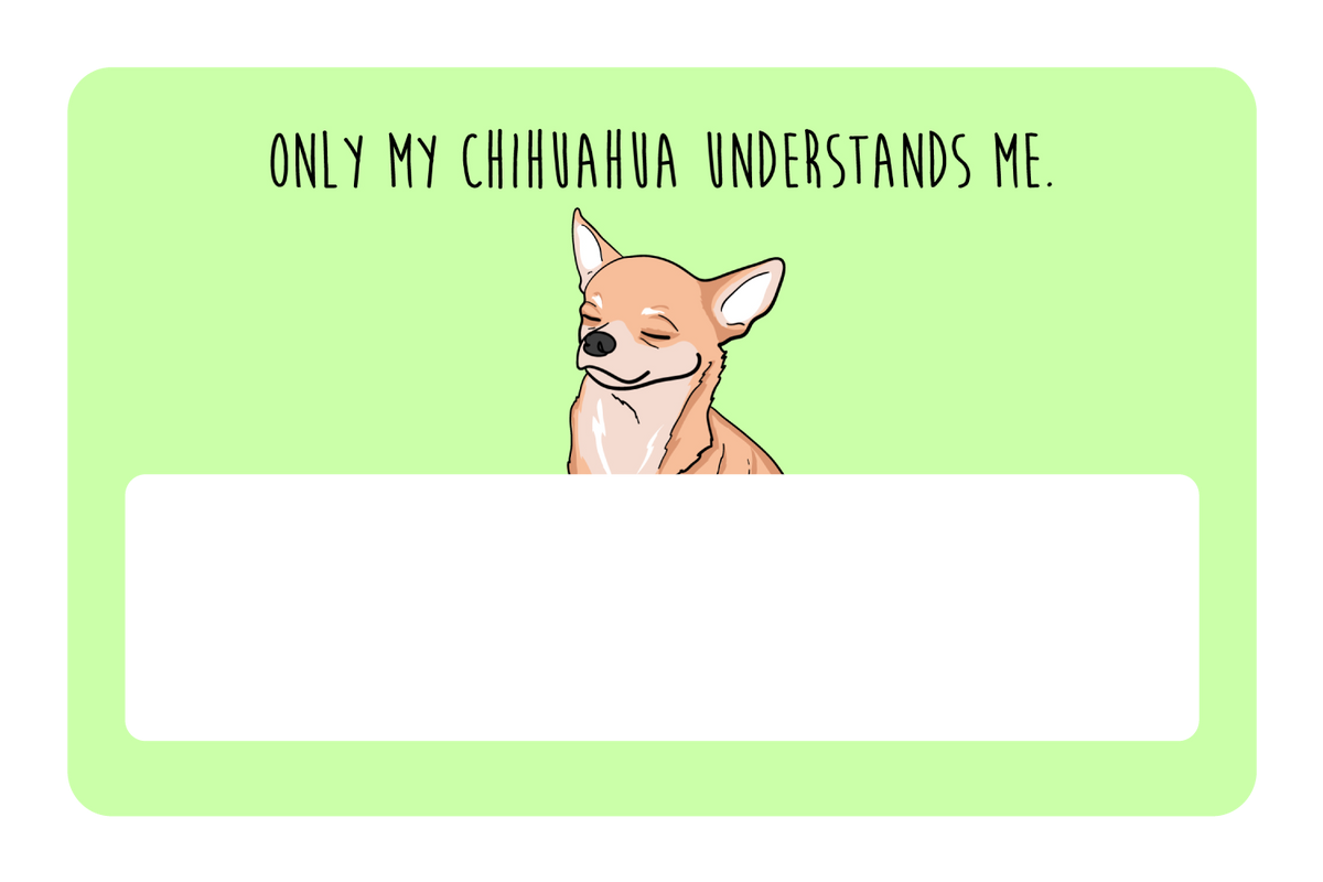 Only my Chihuahua understands me