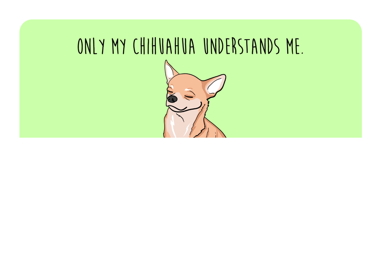 Only my Chihuahua understands me