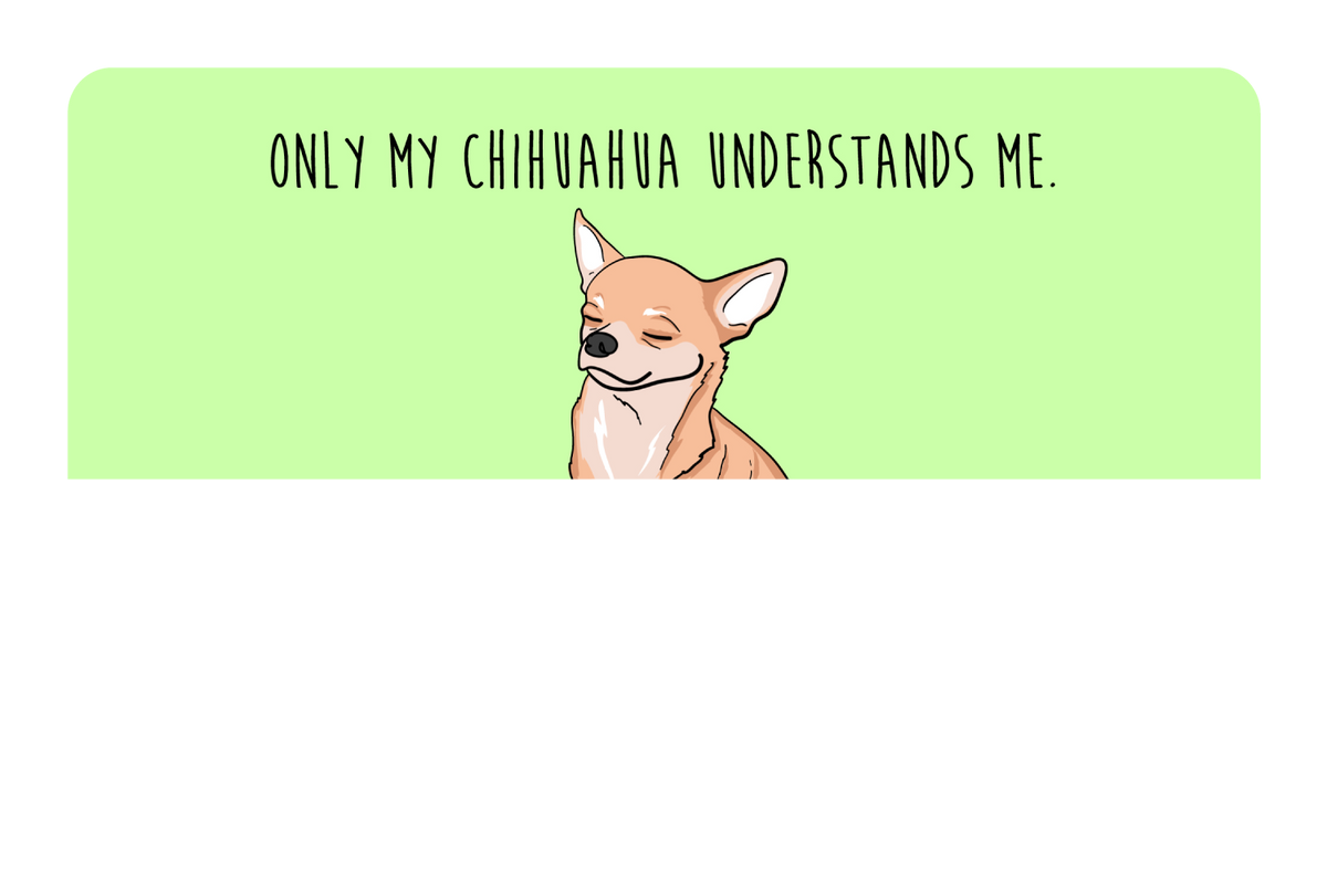 Only my Chihuahua understands me