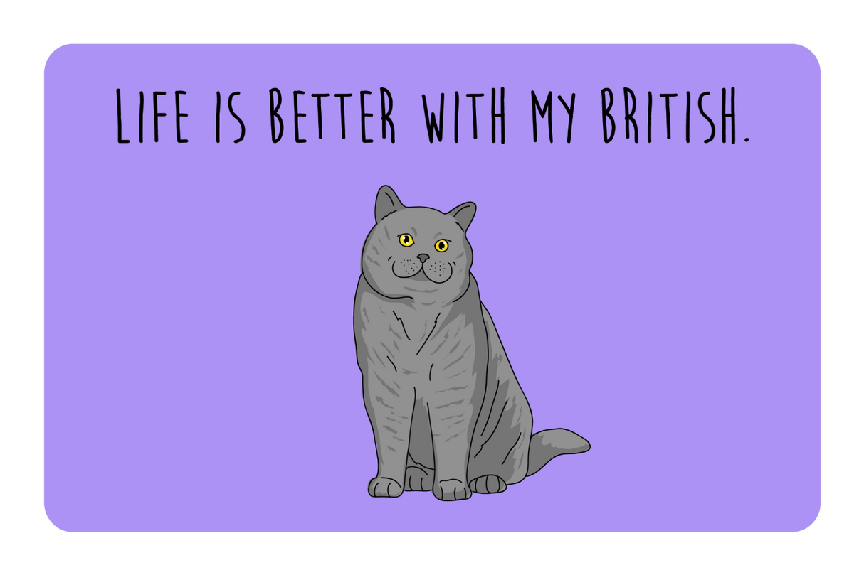 Life is better with my British