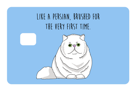 Like a Persian