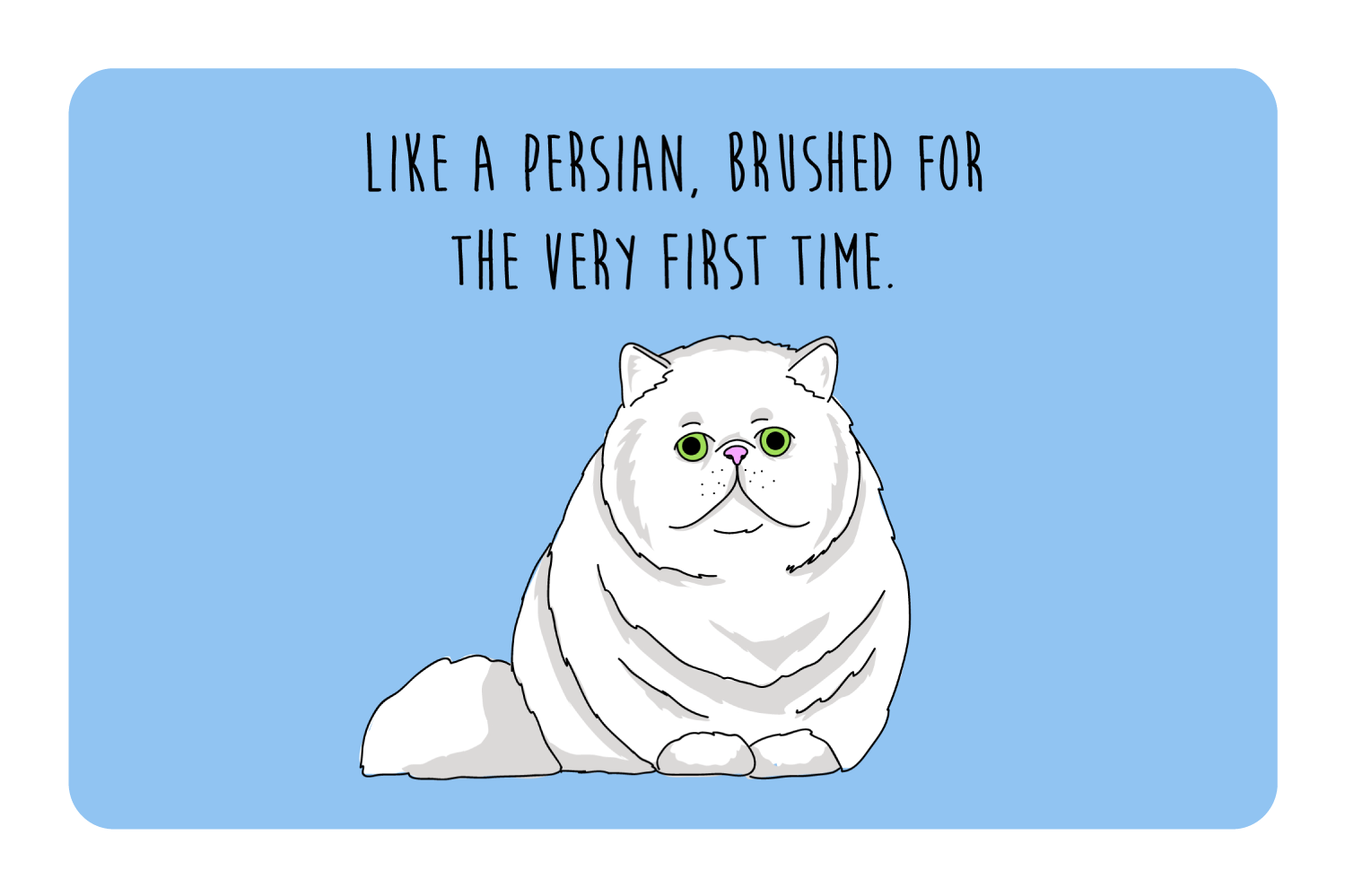Like a Persian