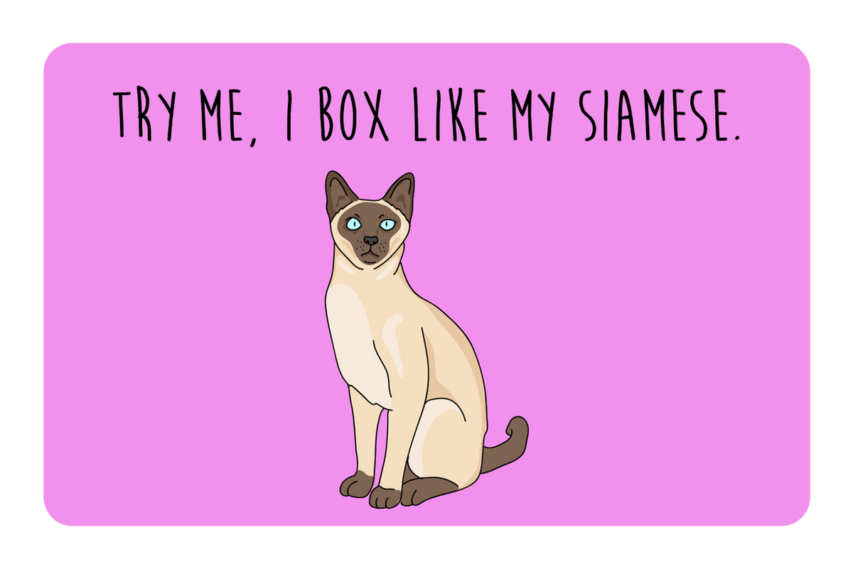 Try me, I box like my Siamese