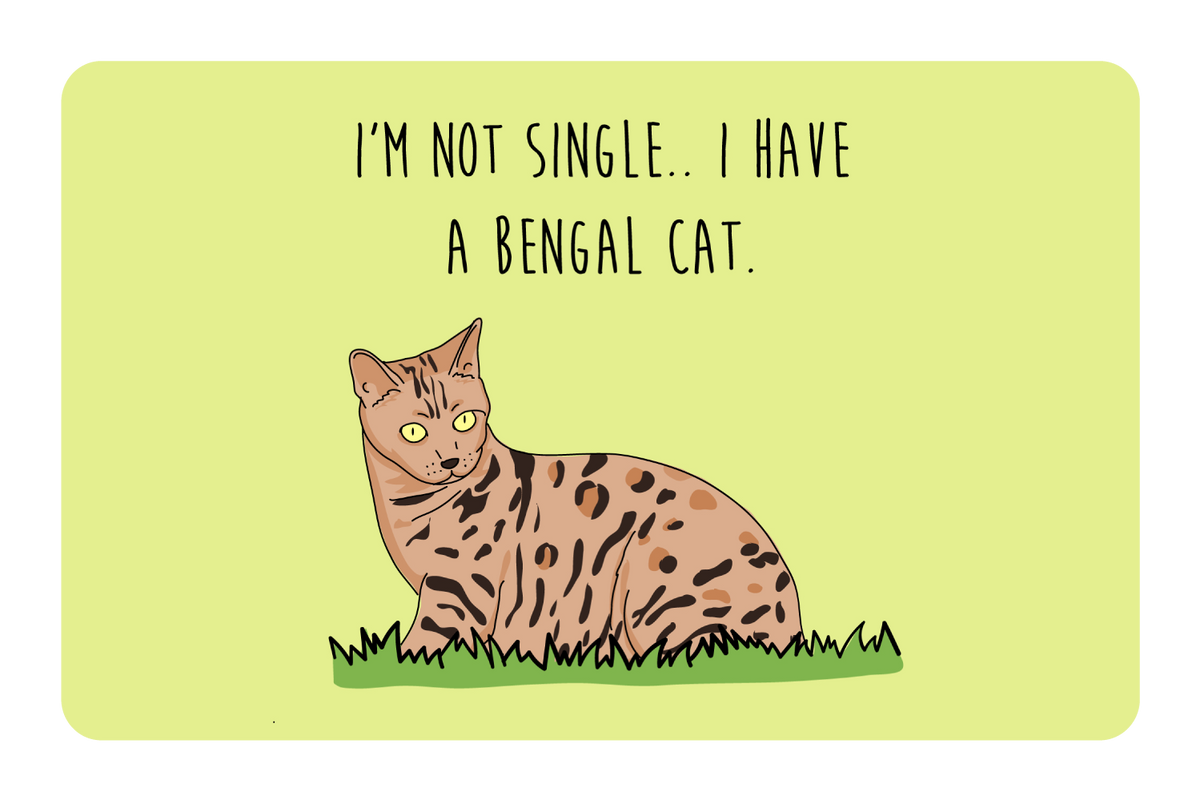I'm not Single I got a Bengal