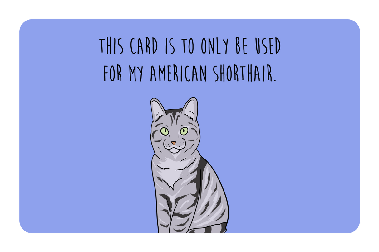 this card only for American Shorthair