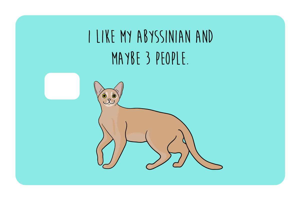 I like my Abyssinian and maybe 3 people
