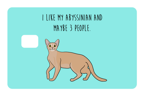 I like my Abyssinian and maybe 3 people