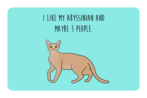 I like my Abyssinian and maybe 3 people