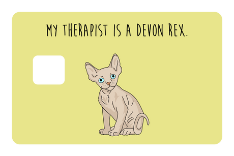 My therapist is a Devon Rex