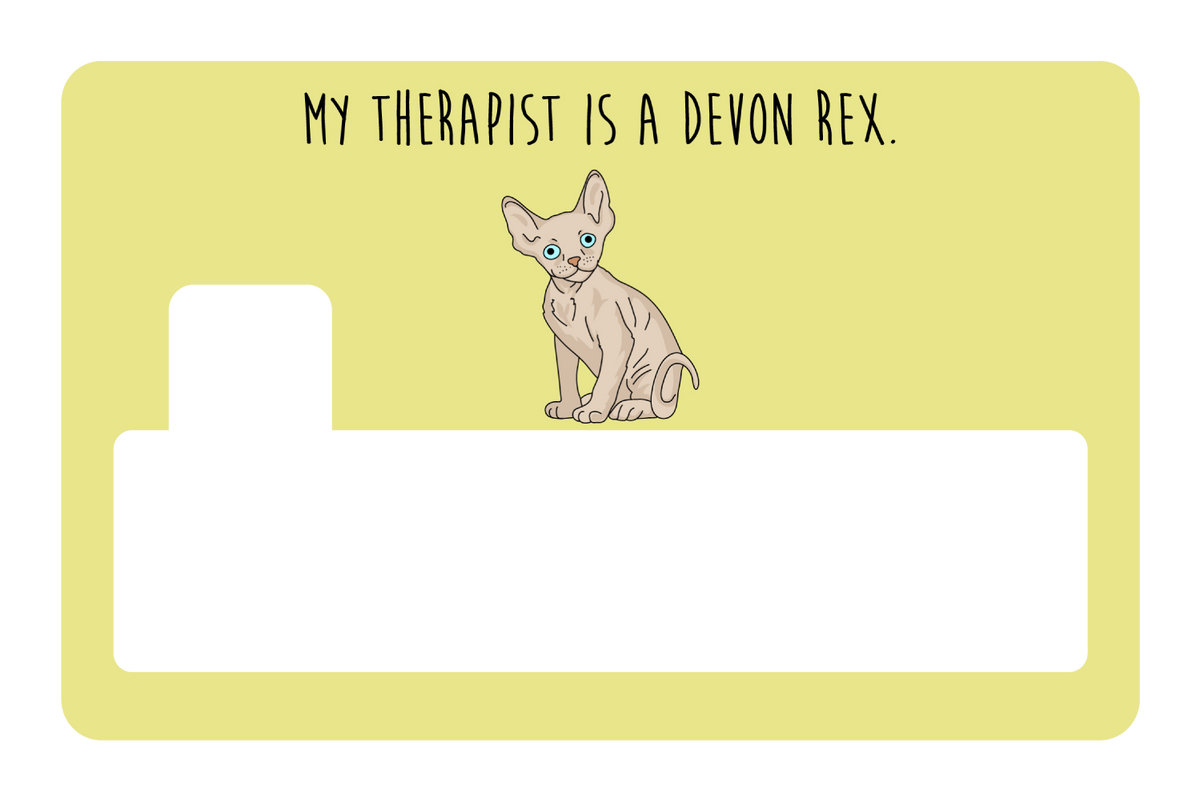 My therapist is a Devon Rex