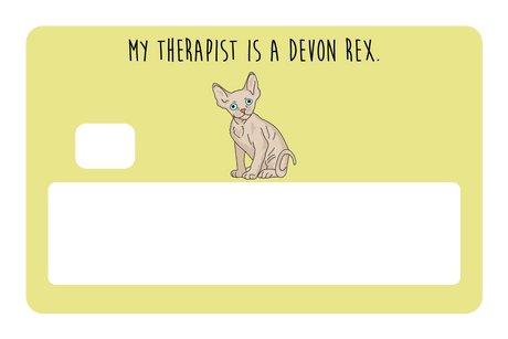 My therapist is a Devon Rex