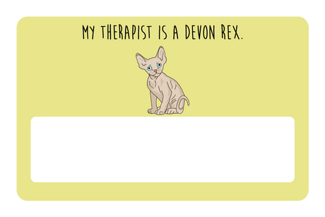 My therapist is a Devon Rex