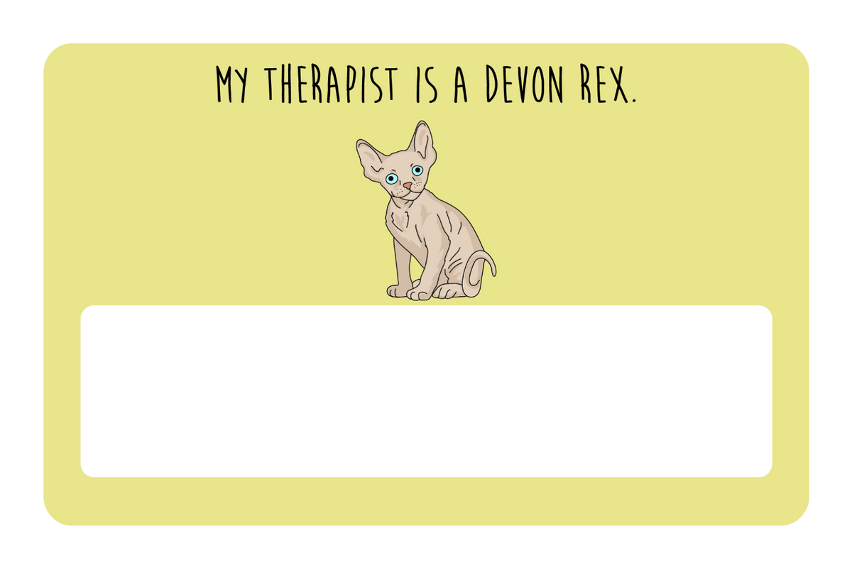My therapist is a Devon Rex