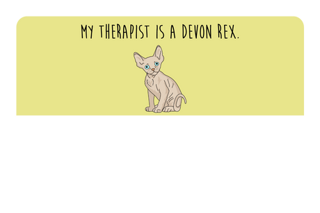 My therapist is a Devon Rex