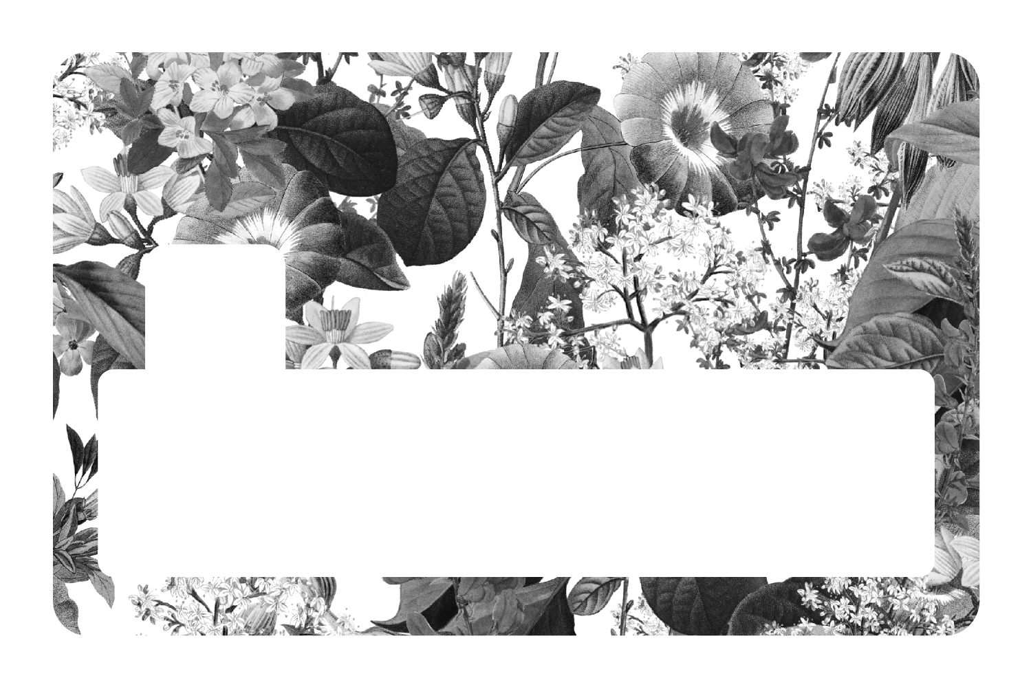 Black and White Floral