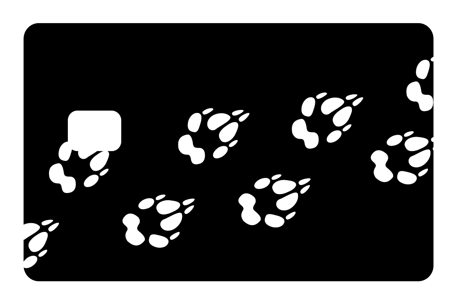 Dog Paws