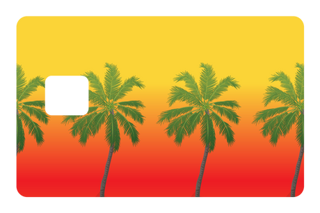 Palm Trees