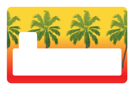 Palm Trees