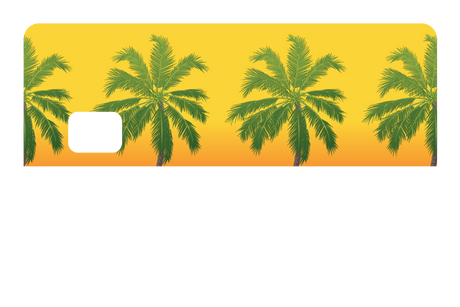 Palm Trees