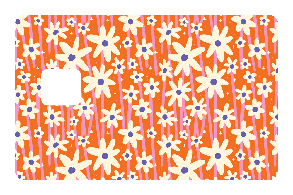 Orange Daisies