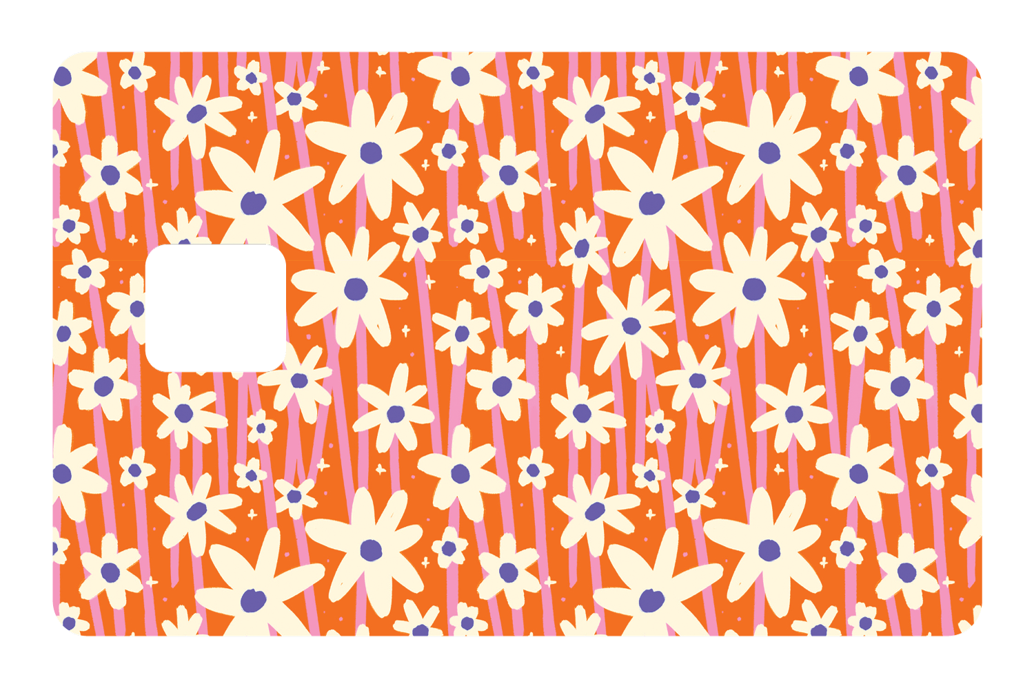 Orange Daisies