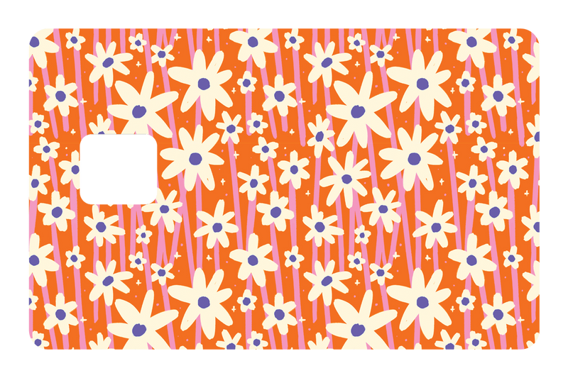 Orange Daisies