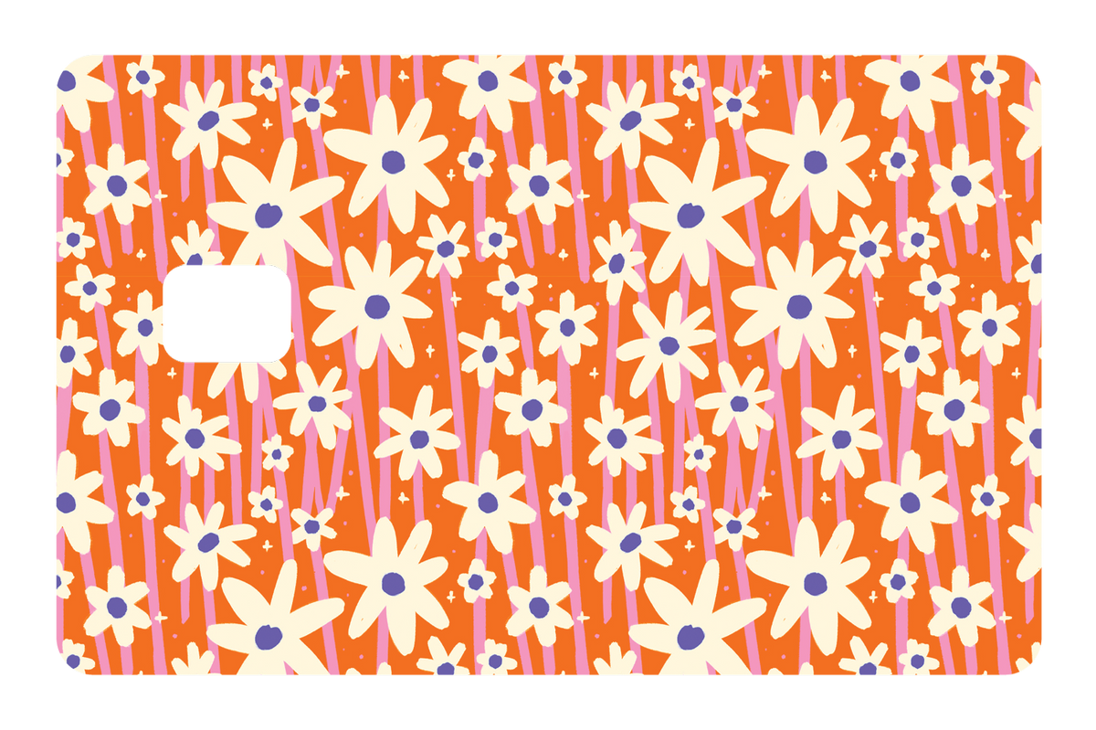 Orange Daisies