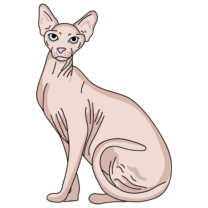 Sphynx