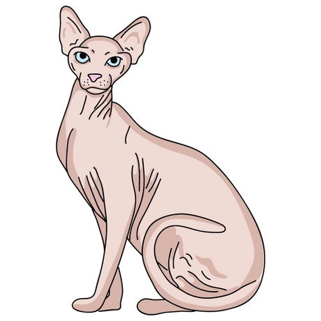 Sphynx