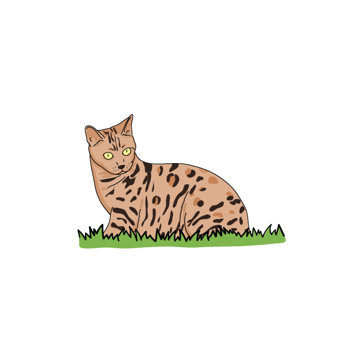 Bengal