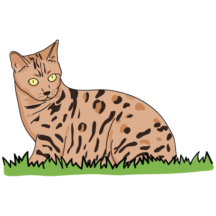 Bengal