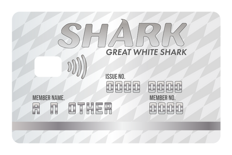 Great White Shark Card