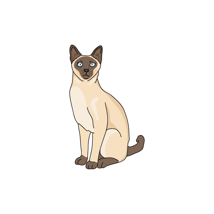 Siamese