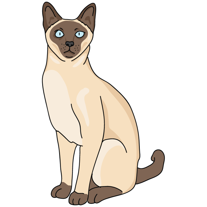 Siamese