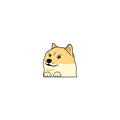 Doge Peek