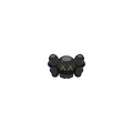 XX Black